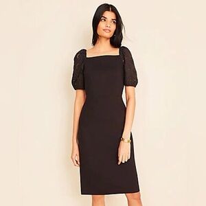 Ann Taylor Black Dress with Eyelet Sleeves